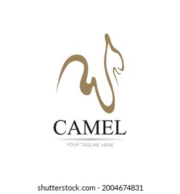 Camel Icon Vector illustration design