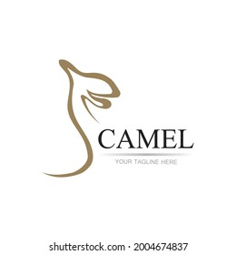 Camel Icon Vector illustration design