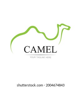 Camel Icon Vector illustration design