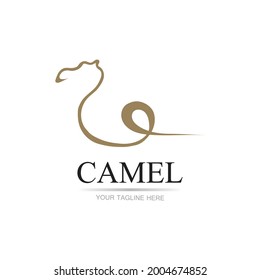 Camel Icon Vector illustration design