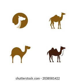 Camel Icon Vector illustration design