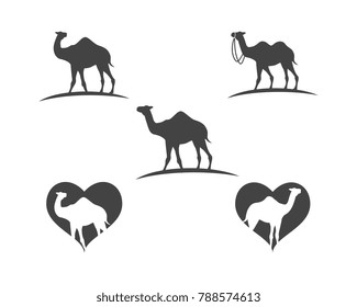 Camel Icon Vector illustration design Logo Template
