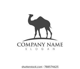 Camel Icon Vector illustration design Logo Template