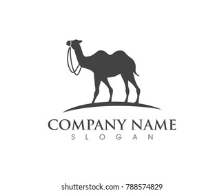 Camel Icon Vector illustration design Logo Template