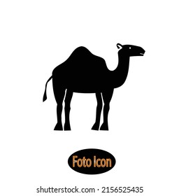 Camel icon. Vector illustration eps 10