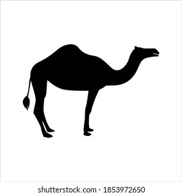 camel icon vector illustration isolated