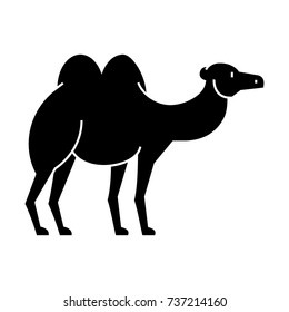 camel  icon, vector illustration, sign on isolated background