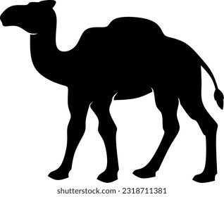 Camel icon vector illustration. Silhouette camel icon for livestock, food, animal and eid al adha event. Graphic resource for qurban design in islam and muslim culture