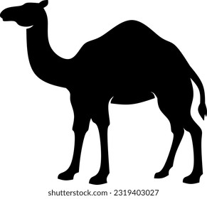 Camel icon vector illustration. Silhouette camel icon for livestock, food, animal and eid al adha event. Graphic resource for qurban design in islam and muslim culture