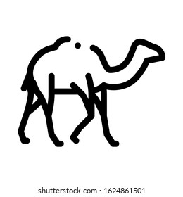 Camel Icon Vector. Outline Camel Sign. Isolated Contour Symbol Illustration