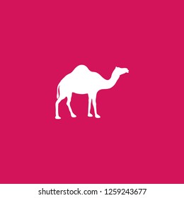 Pink camel