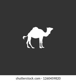 camel icon vector. camel sign on black background. camel icon for web and app