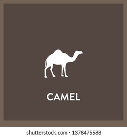 camel icon vector. camel sign on white background. camel icon for web and app