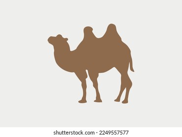 camel icon vector. camel sign on white background. camel icon for web and app