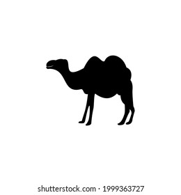 camel icon vector sign symbol