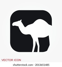 Camel icon. Vector symbol African animal for web and design.