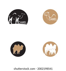 Camel icon vector template illustration