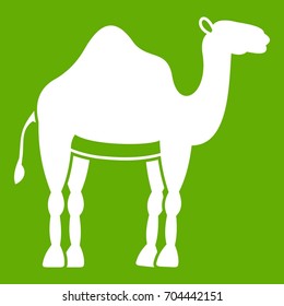 Camel icon white isolated on green background. Vector illustration