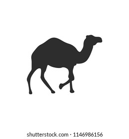 Camel icon.Caravan,desert vector.Africa,egypt,arab symbol.Zoo,wild icon.Camel vector for web and mobile apps