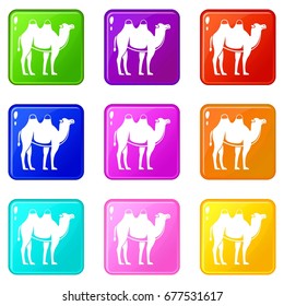 Camel icons of 9 color set isolated vector illustration