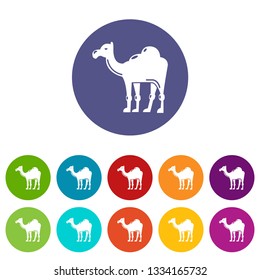 Camel icons color set vector for any web design on white background