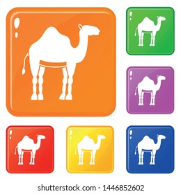 Camel icons set collection vector 6 color isolated on white background