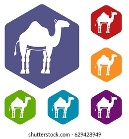 Camel icons set hexagon isolated vector illustration