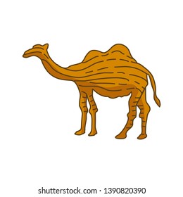 Camel Illustration Animal Vector Design