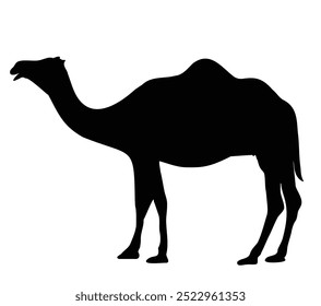 ilustración de camello en Vector de silueta negra ilustración aislada sobre fondo blanco para Emiratos Árabes Unidos, Arabia Saudita, Bahréin, Kuwait, Sudán, Irak, Líbano, Libia, Qatar, Egipto, Omán, otros países árabes