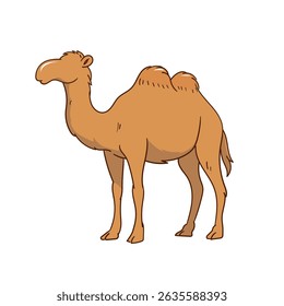 Camelo ilustração Brown Farm animal