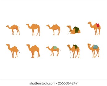 Camel Illustration Design Element Set