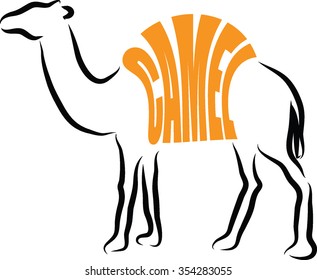 CAMEL ILLUSTRATION LETTERING