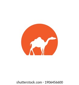 Camel illustration logo vector design