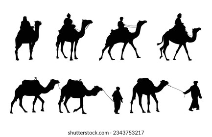 Camel illustration set on white background, vector, isolated. vector illustration