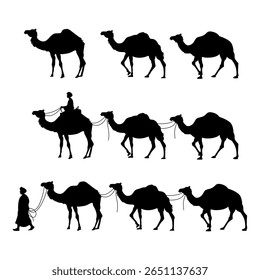 Camel illustration set on white background, vector, isolated. vector illustration