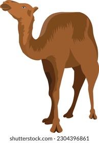 Camel images can be used as Muslim qurban vlogo character material