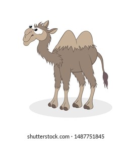 camel. Isolated illustrations on a white background in cartoon style. Design element.