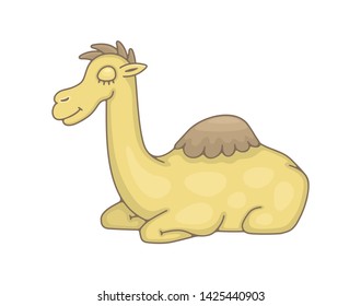 Camel. isolated on white background