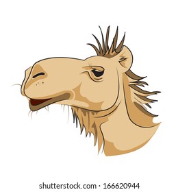 Camel - Isolated On White Background - Vector Illustration, Graphic Design Editable For Your Design.