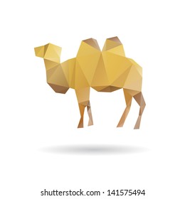 Camel isolated on a white backgrounds