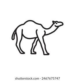 Camel isolated outline Icon, Vector Illustration