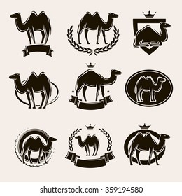 Camel label and icons set. Vector