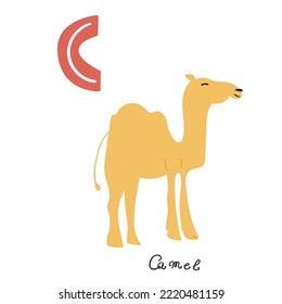 Camel. Letter C. Learn alphabet. Education for kids. Flat hand drawn illustration on white background.