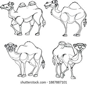 Camel Line Art Design Hand Drawing Sketch Vector illustration For Adult And Kids Coloring Book