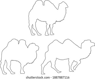 Camel Line Art Design Hand Drawing Sketch Vector illustration For Adult And Kids Coloring Book