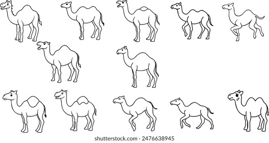 Diseños de arte de línea de camellos , diseño de Vector animal