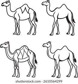 Camel line art vector illustration 