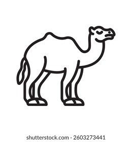 Camel line and glyph icon, vector illustration