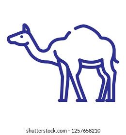 Camel line icon