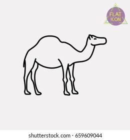 camel line icon